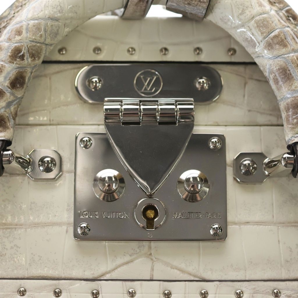 Louis Vuitton Trunk Croco Shoulder Bag Sahara White Brown Leather Silver — view 6