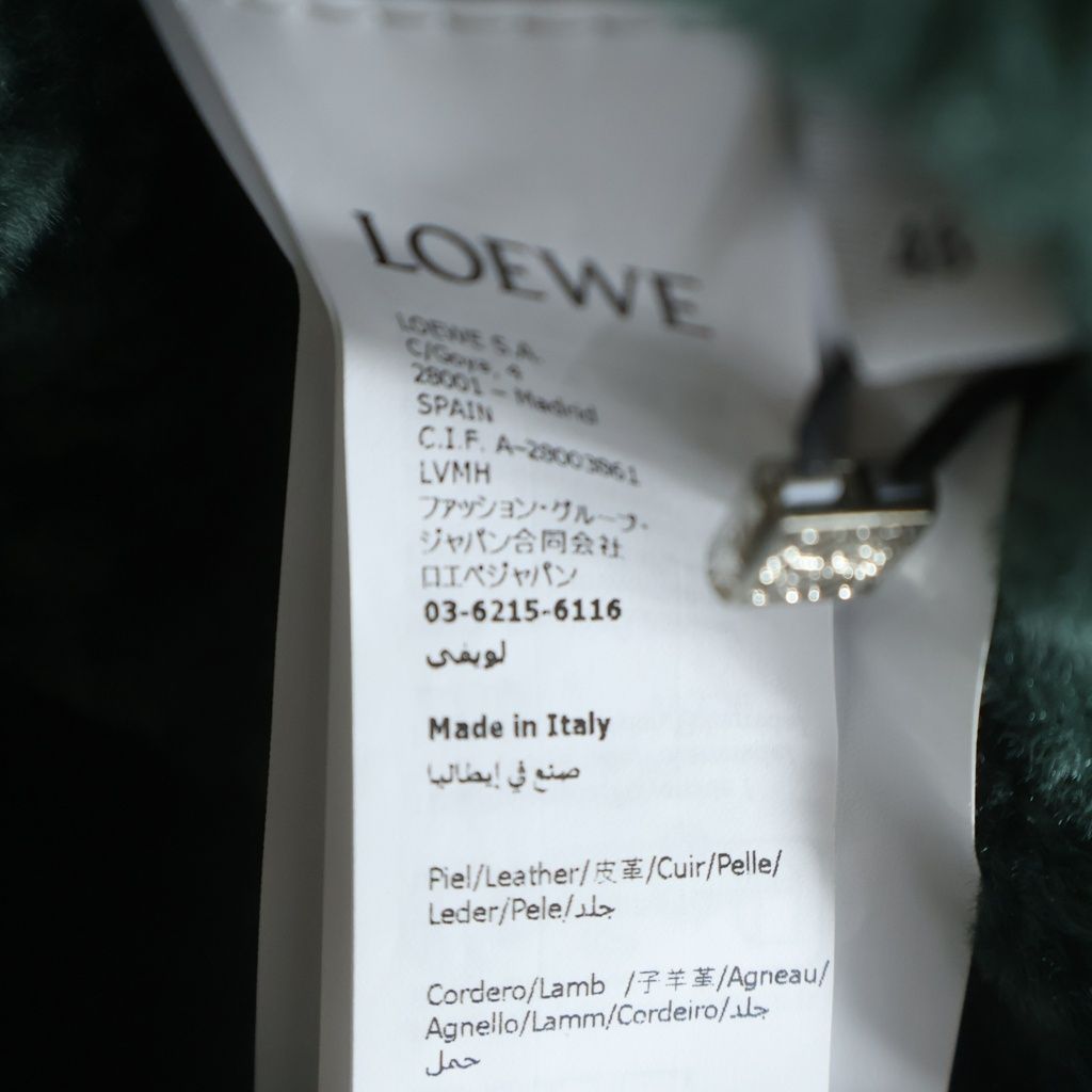 Loewe Hoodie in Shearing Reversible Mohair Hooded Zip Up Jacket Green Brown — view 8
