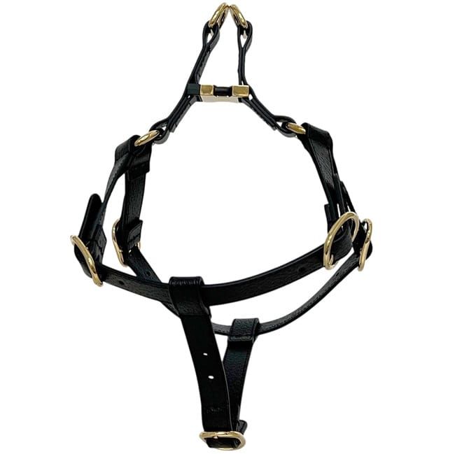 Gucci Pet Harness Black Interlocking Pet Accessory — view 3
