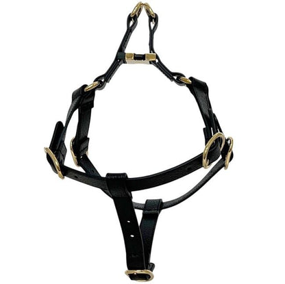 Gucci Pet Harness Black Interlocking Pet Accessory — view 3