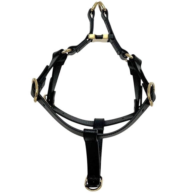 Gucci Pet Harness Black Interlocking Pet Accessory — view 5