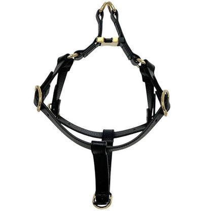 Gucci Pet Harness Black Interlocking Pet Accessory — view 5