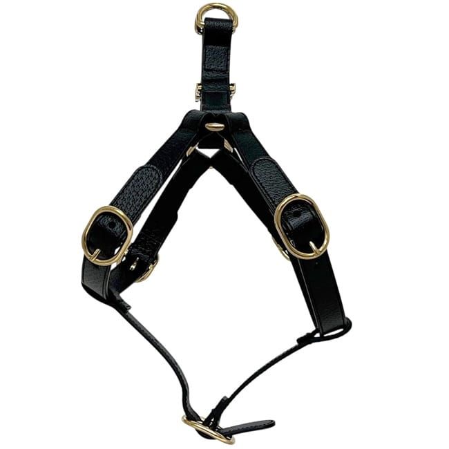 Gucci Pet Harness Black Interlocking Pet Accessory — view 4