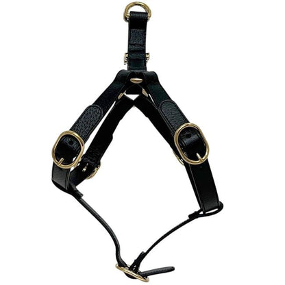 Gucci Pet Harness Black Interlocking Pet Accessory — view 4