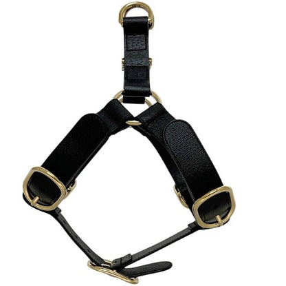 Gucci Pet Harness Black Interlocking Pet Accessory — view 6