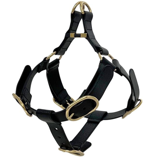 Gucci Pet Harness Black Interlocking Pet Accessory — view 4