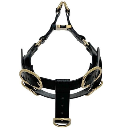 Gucci Pet Harness Black Interlocking Pet Accessory — view 3