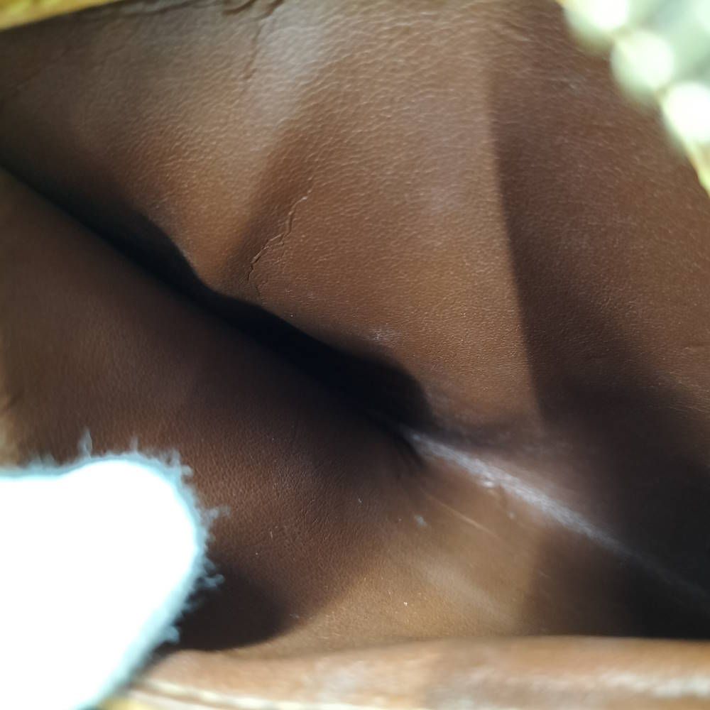 Louis Vuitton Blower Shoulder Bag Monogram — view 9
