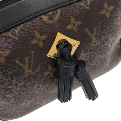 Louis Vuitton Monogram Saintonge Shoulder Bag — view 5