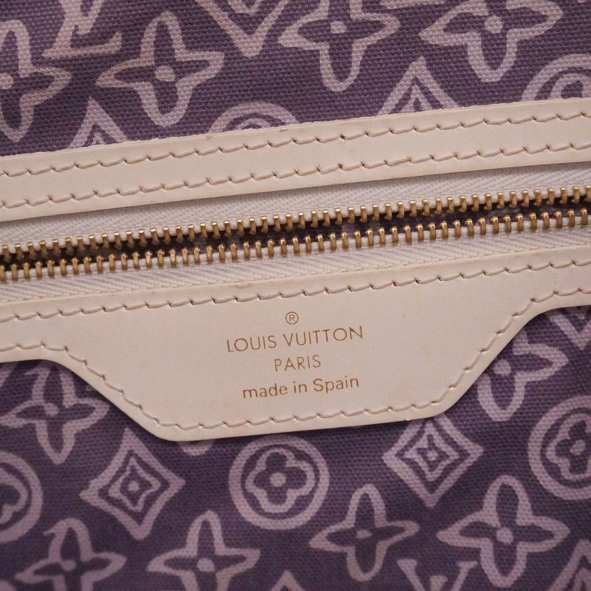 Louis Vuitton Tote Taicienne PM Lira — view 5