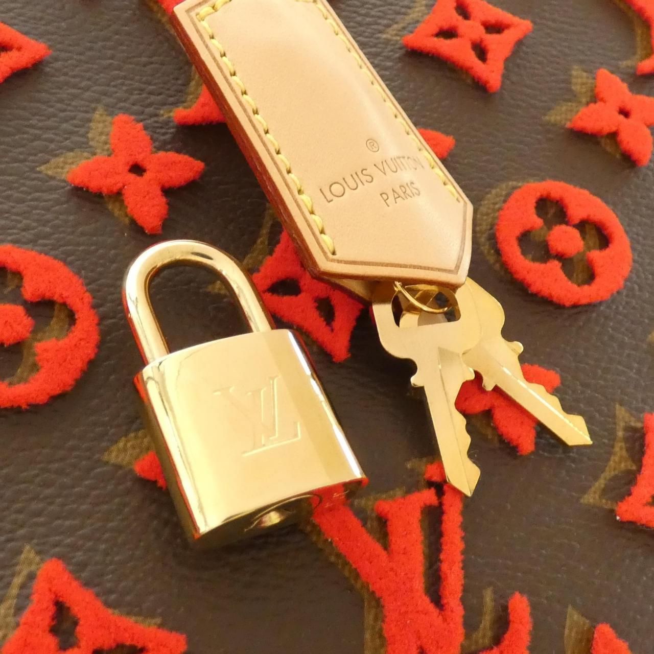 Louis Vuitton Monogram Deauville Tree-bu Bag — view 5