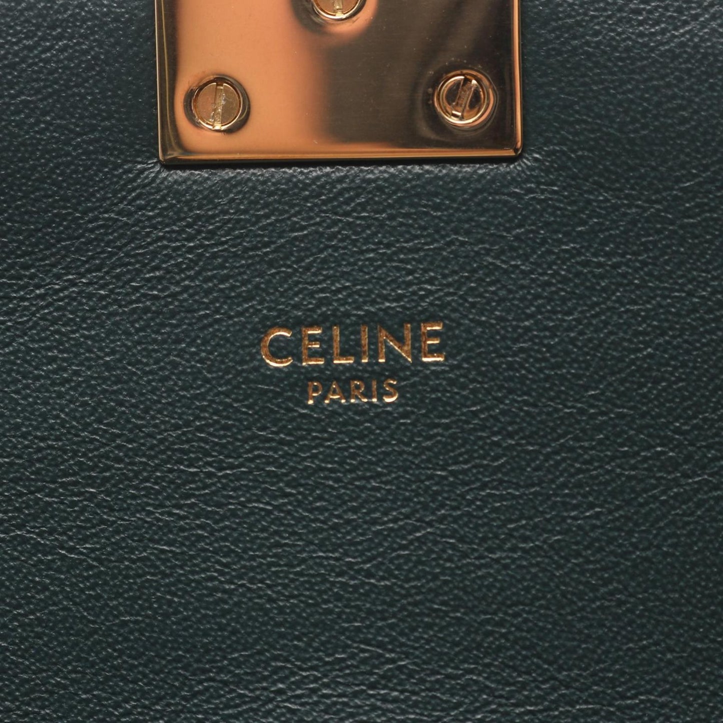 Celine Seri Shoulder Bag Midi Da Ninegreen Leather Che — view 4