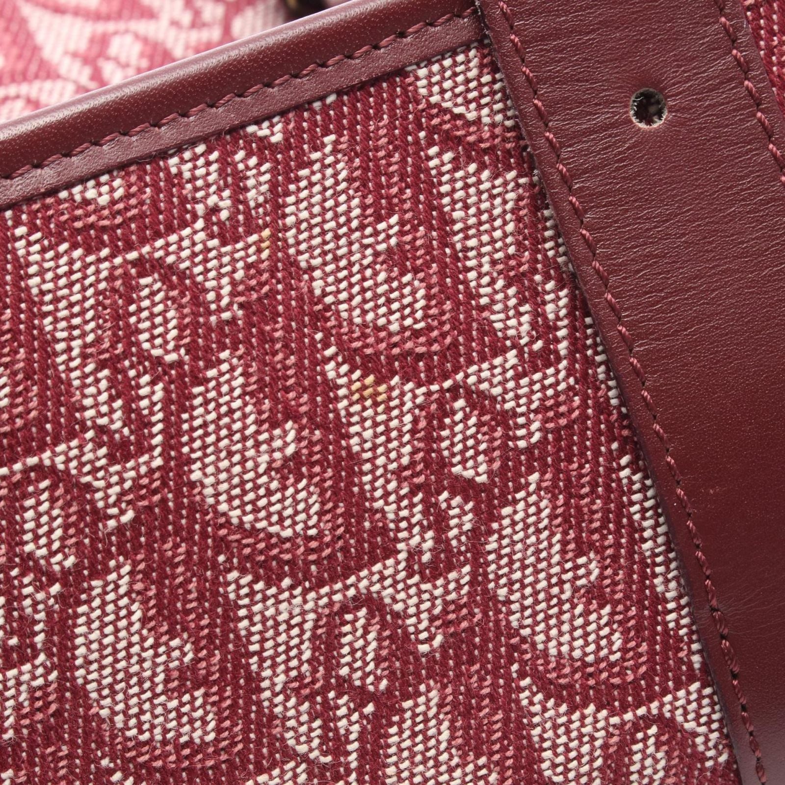 Dior Dio Shoulder Bag Tobta Canvas Leather — view 8