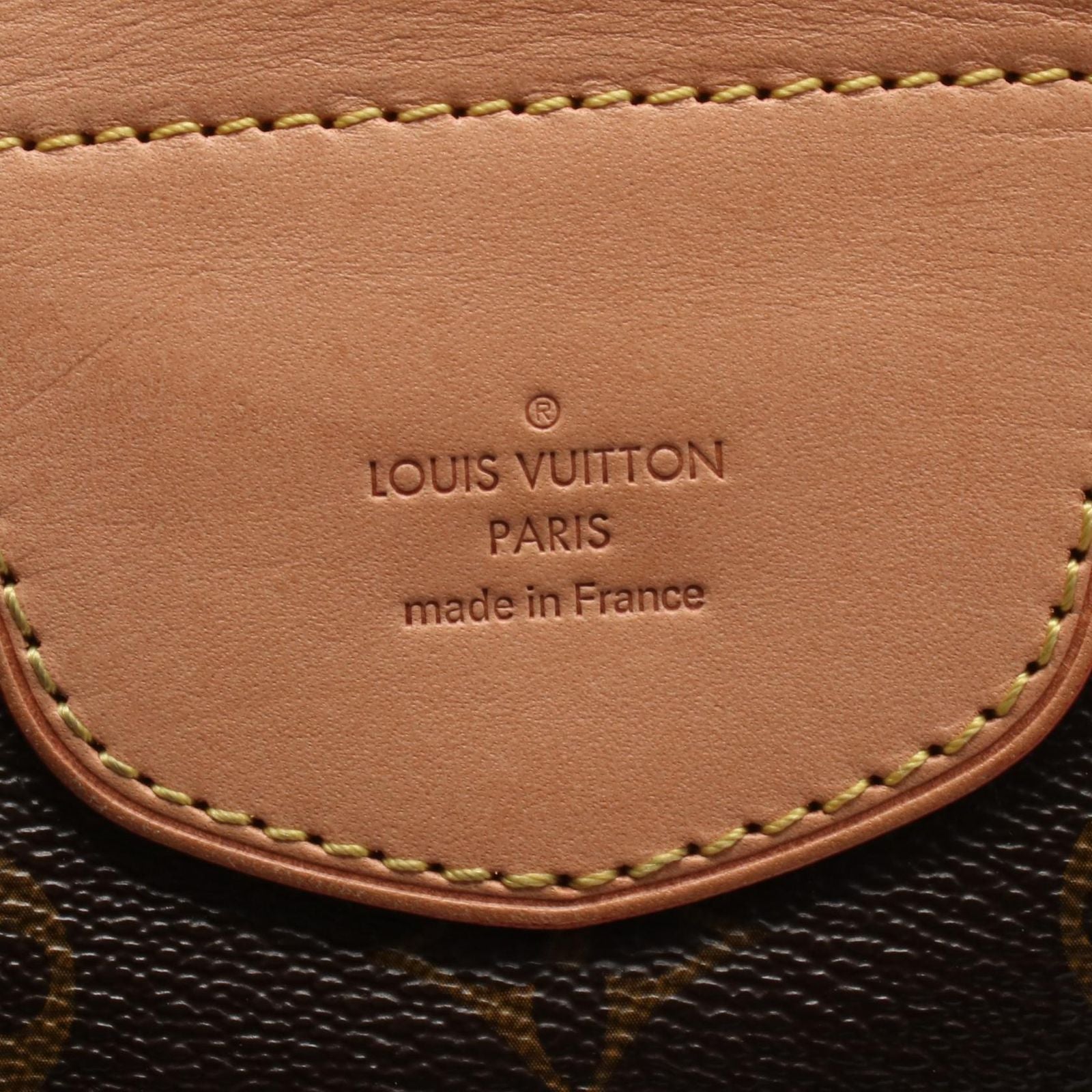 Louis Vuitton Shoulder Bag the PM Canvas Leather — view 4