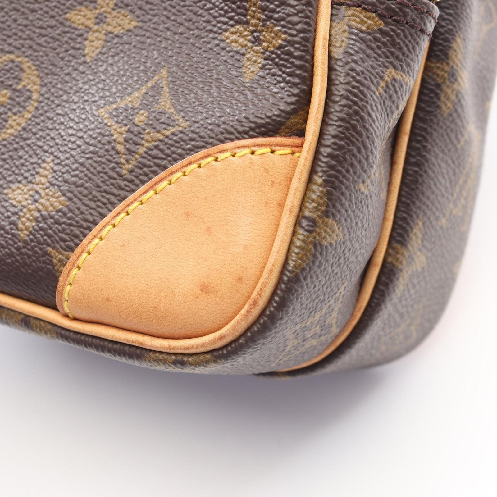 Louis Vuitton Shoulder Bag Amazon Canvas Leather — view 9