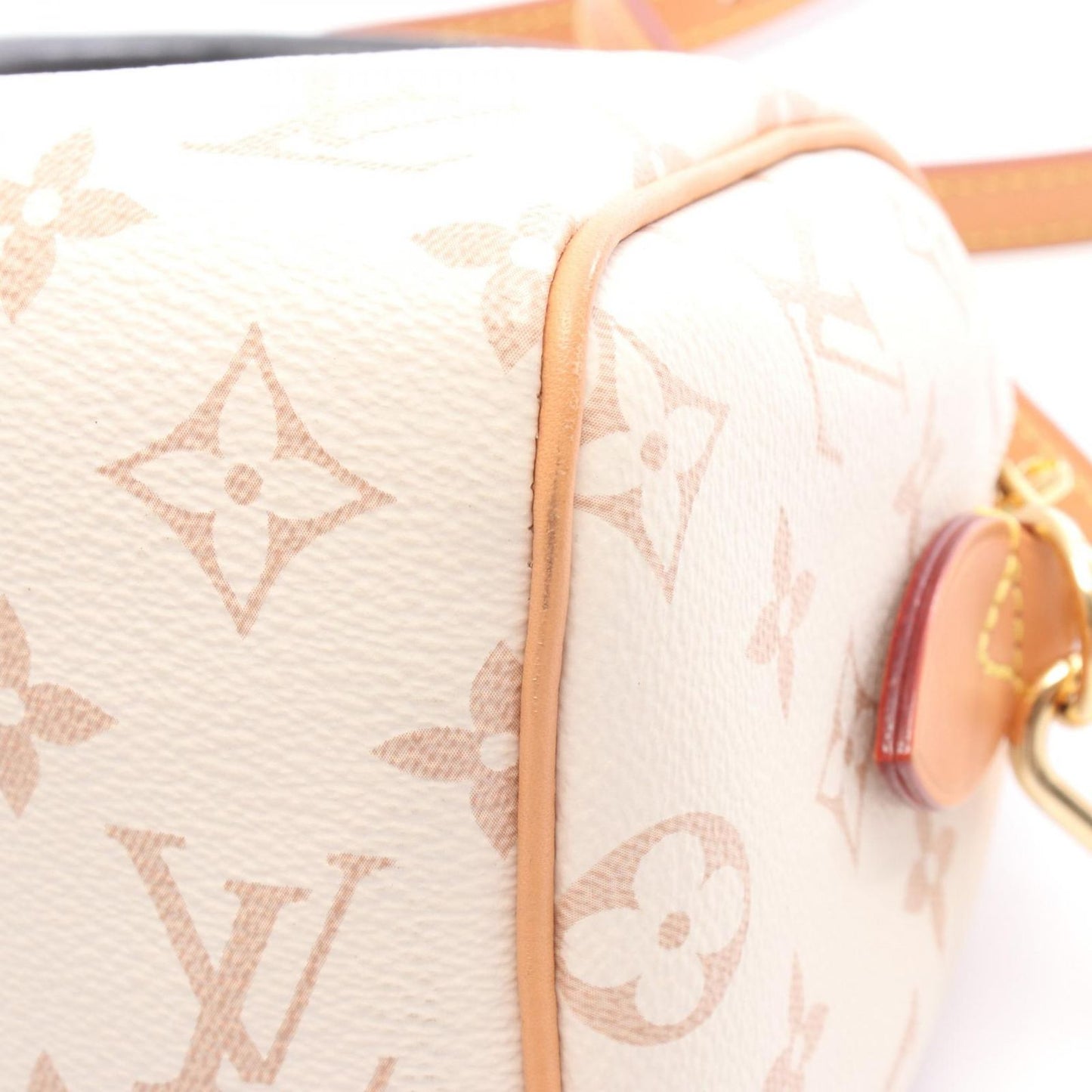Louis Vuitton Handbag Speedy Bandouliere 20 Dune Canvas Leather — view 5