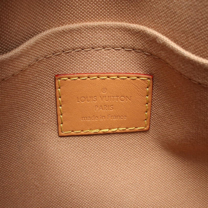 Louis Vuitton Handbag Speedy Bandouliere 20 Dune Canvas Leather — view 4
