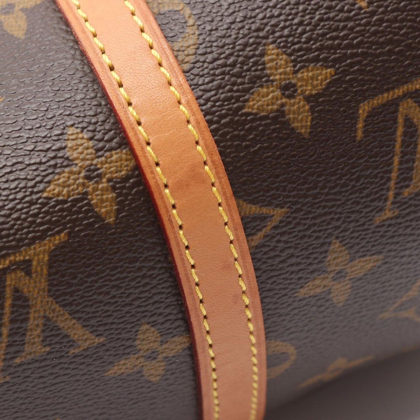 Louis Vuitton Handbag Papillon 30 Canvas Leather GM — view 8