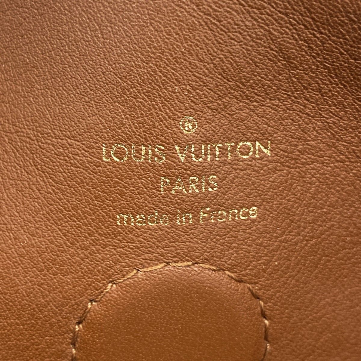 Louis Vuitton Handbag Monogram Tui Roulis Besace Camel 2-Way Bag — view 5
