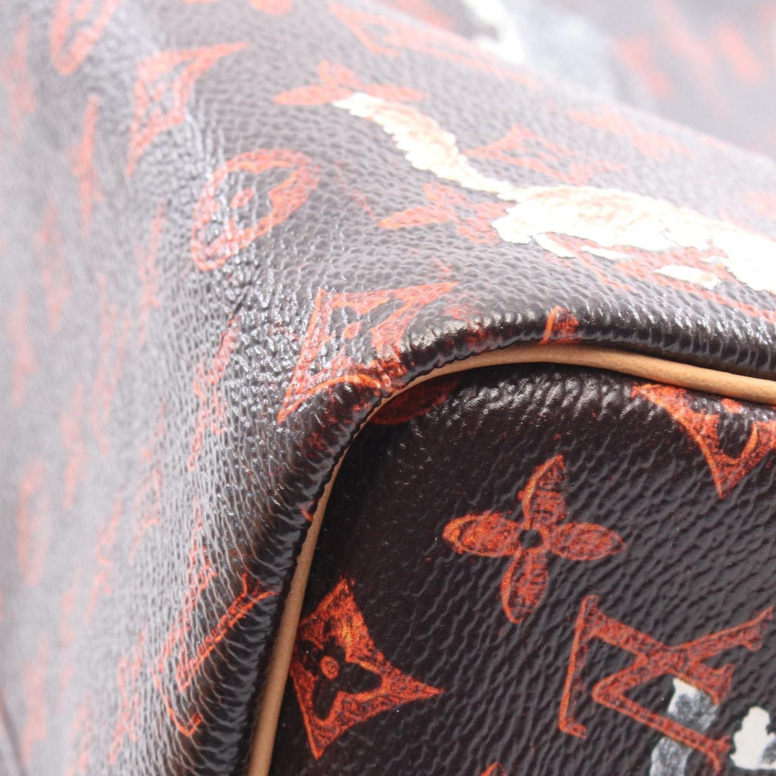 Louis Vuitton Handbag Speedy Bandouliere 30 Catgram Canvas Leather — view 8