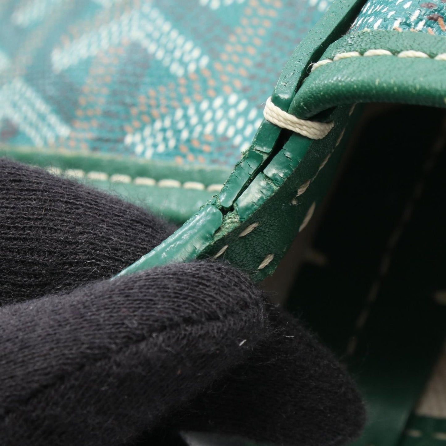 Goyard Tote Saint Louis PM Green Canvas Leather — view 6