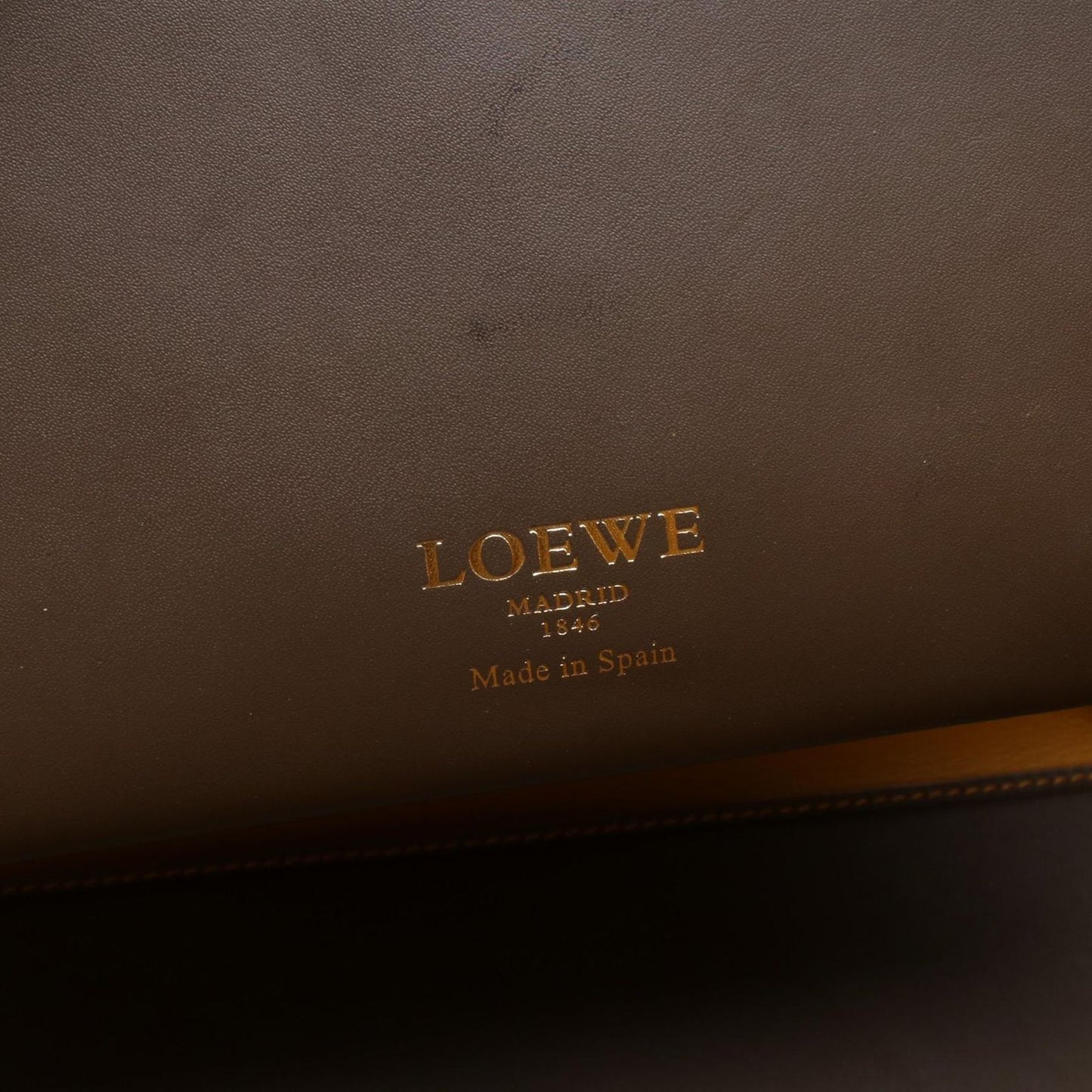 Loewe Tote Leo Dark Brown Yellow Leather Leo Anagram — view 4