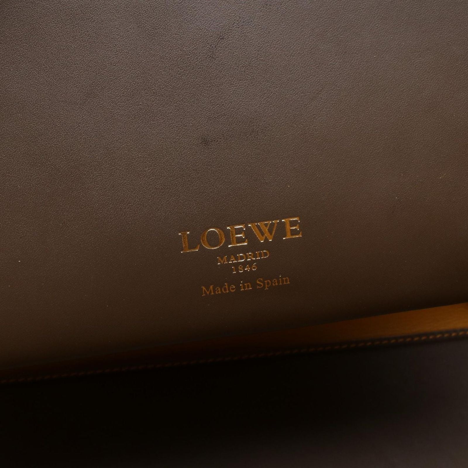 Loewe Tote Leo Dark Brown Yellow Leather Leo Anagram — view 4