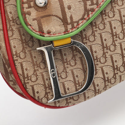 Dior Shoulder Bag Rasta Trotter Saddle Pocket Canvas Leather — view 9