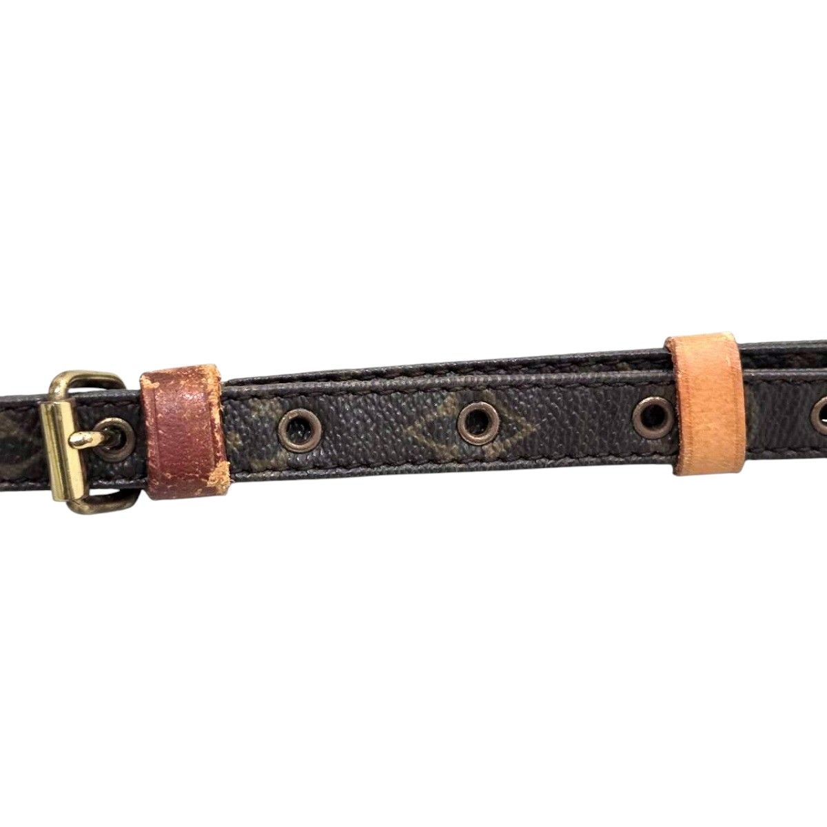 Louis Vuitton Danube Monogram Shoulder Bag — view 9