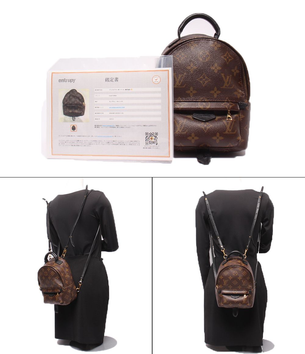 Louis Vuitton Backpack Palm Springs Mini Monogram — view 9