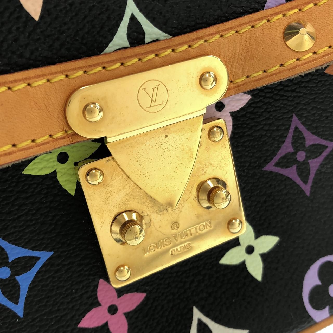 Louis Vuitton Multicolor Sologne Shoulder Bag — view 4