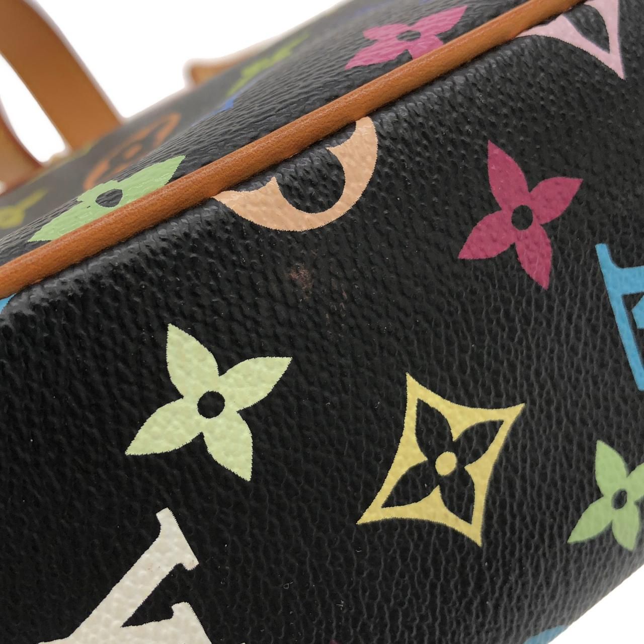 Louis Vuitton Multicolor Sologne Shoulder Bag — view 5