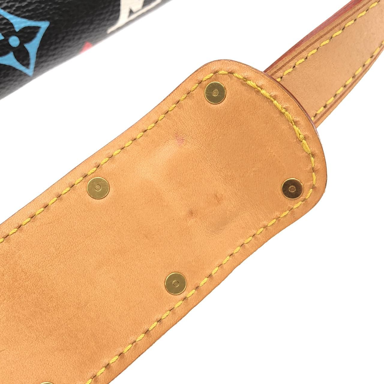 Louis Vuitton Multicolor Sologne Shoulder Bag — view 7