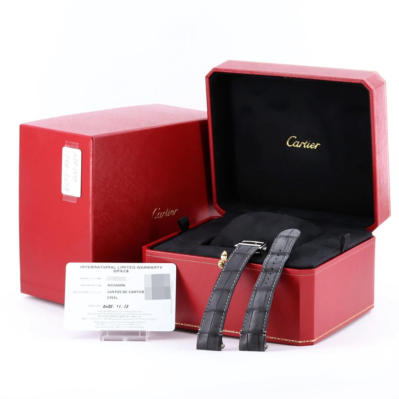 Cartier Santos Cartier LM SS Automatic Watch — view 8