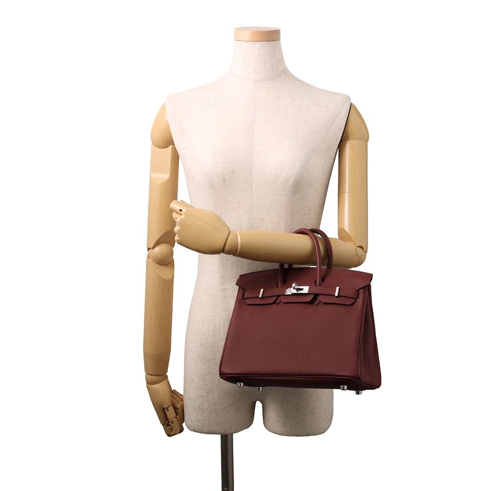 Hermes Birkin 25 Rouge Ache Silver Togo Handbag — view 4