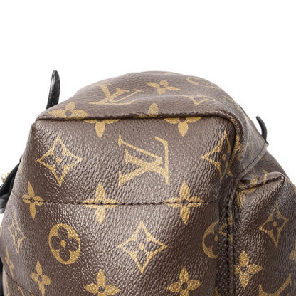 Louis Vuitton Palm Springs Brown Monogram Canvas Backpack — view 8