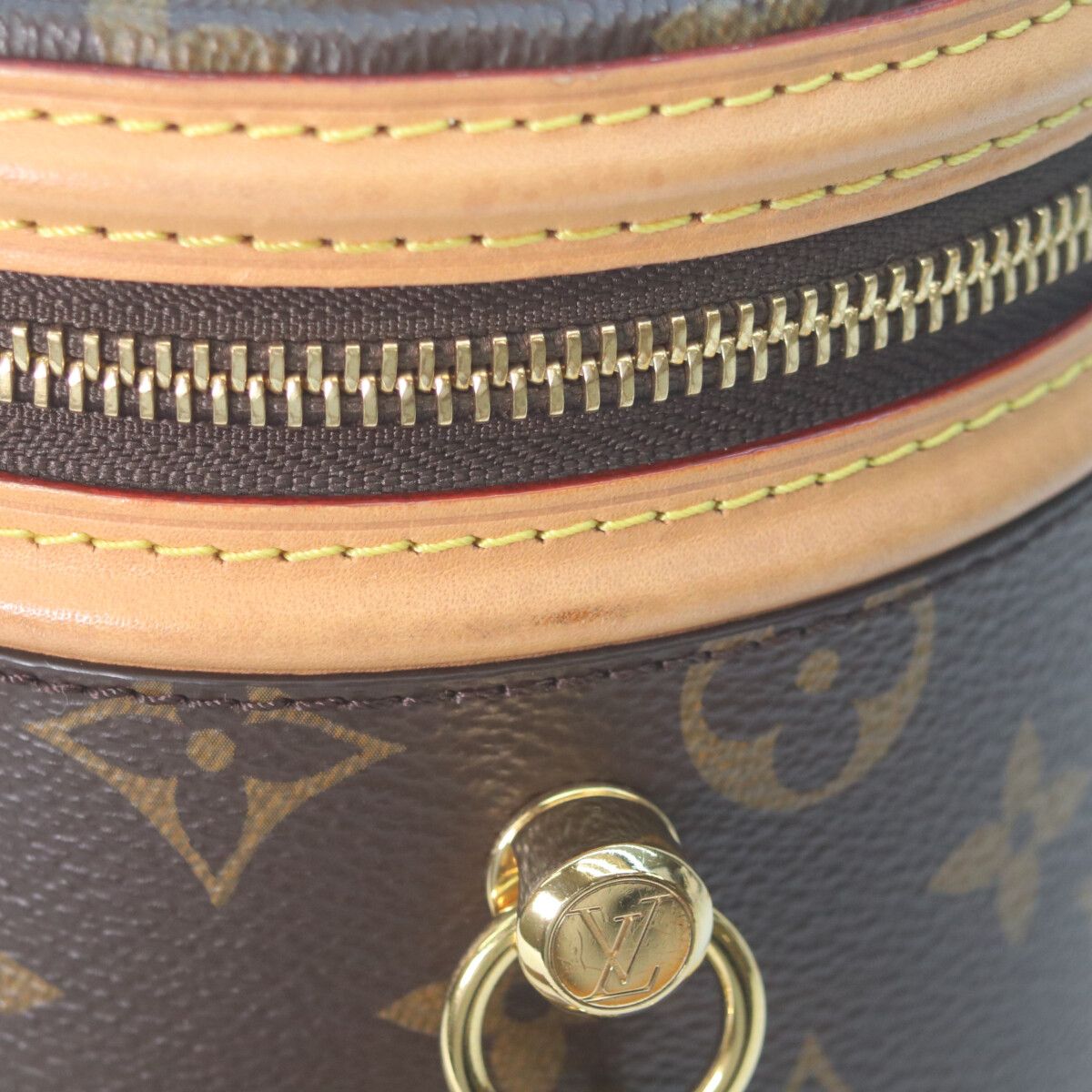 Louis Vuitton Monogram Nano Cannes Shoulder Bag — view 7