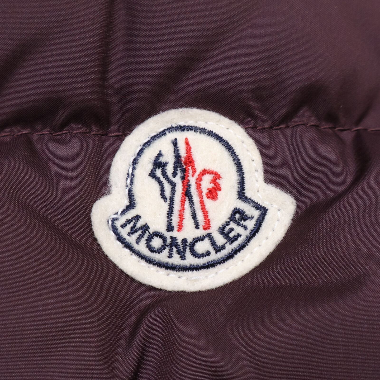 Moncler Cheval Down Jacket — view 8