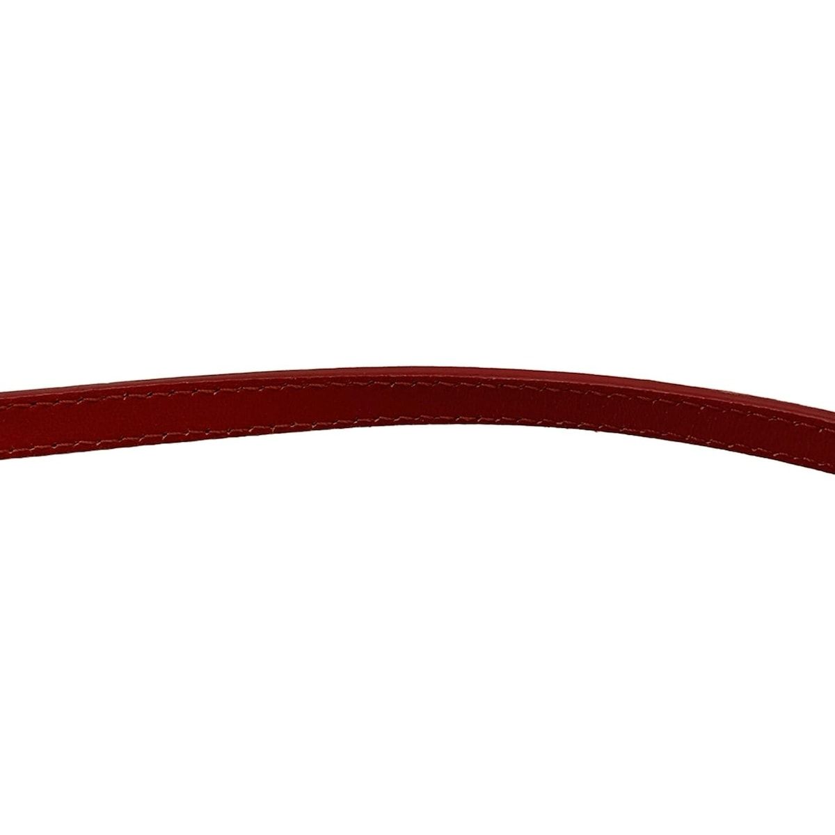 Celine Shoulder Bag Trio Red Leather — view 9