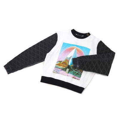 Louis Vuitton Sweatshirt Fed — view 3