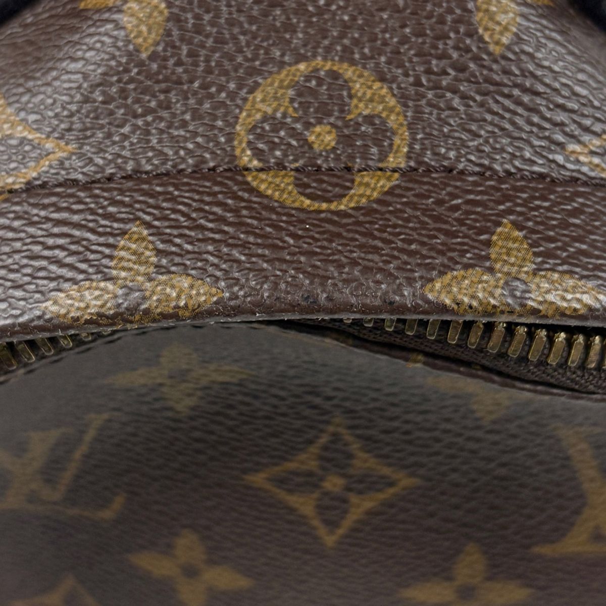 Louis Vuitton Palm Springs Backpack PM Monogram Brown — view 6