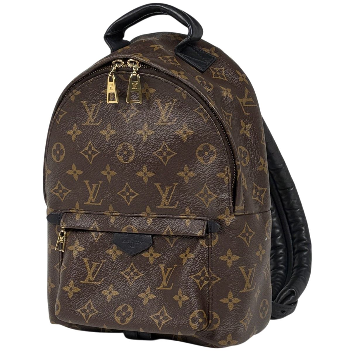 Louis Vuitton Palm Springs Backpack PM Monogram Brown