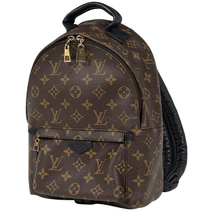 Louis Vuitton Palm Springs Backpack PM Monogram Brown
