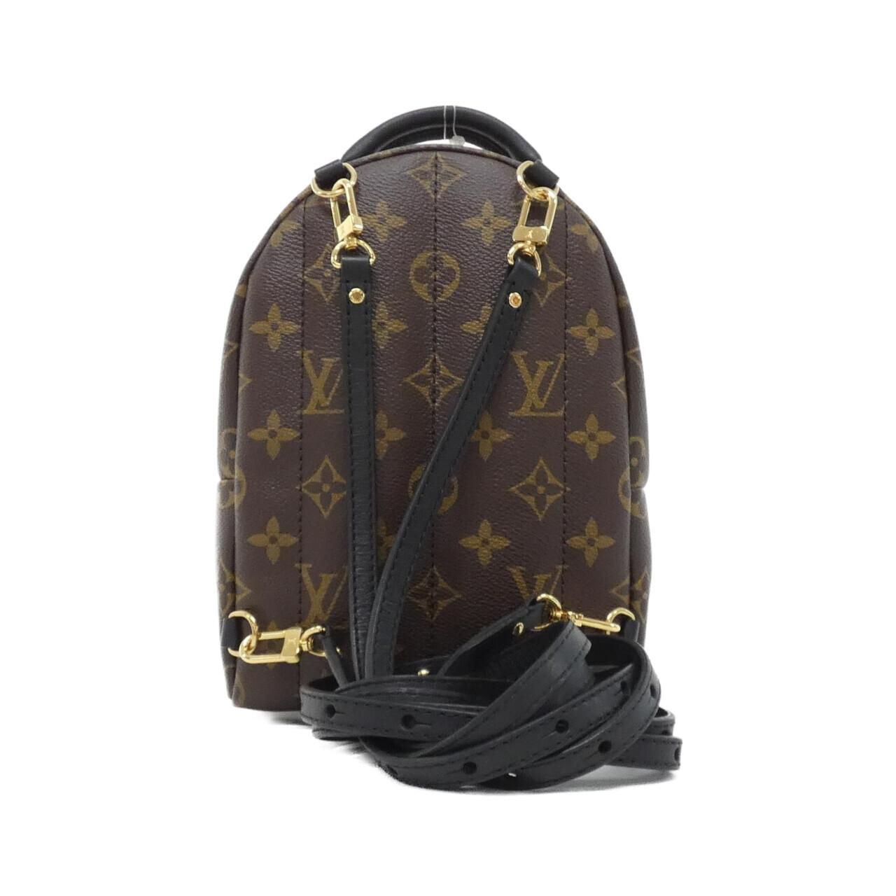 Louis Vuitton Monogram World Tour Palm Springs Backpack Mini — view 2