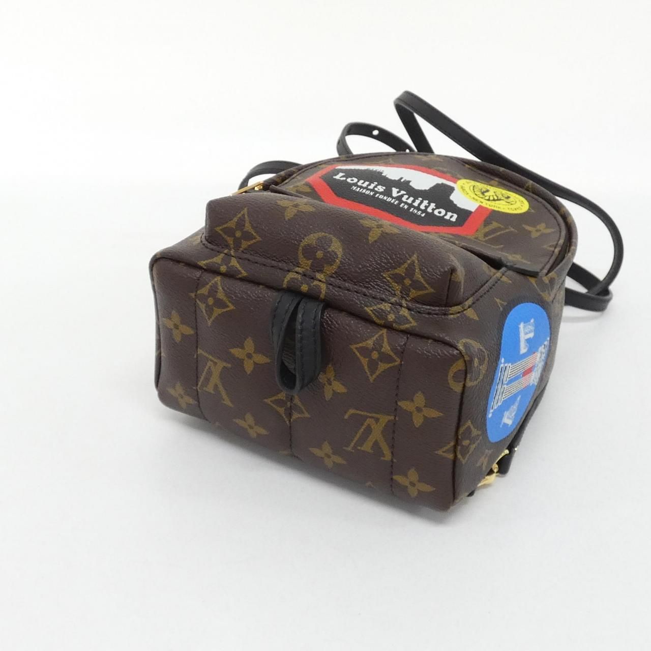 Louis Vuitton Monogram World Tour Palm Springs Backpack Mini — view 3
