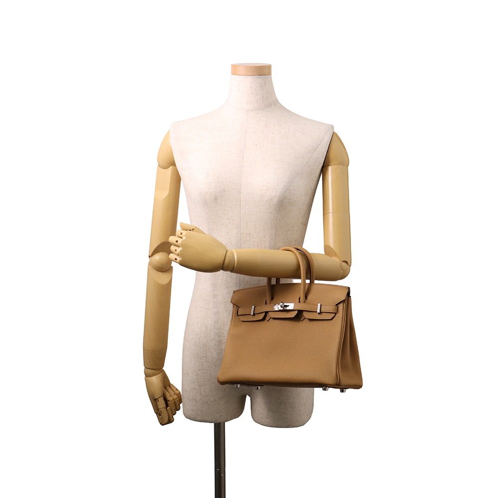 Hermes Birkin 25 Biscuit Silver Togo Handbag — view 4