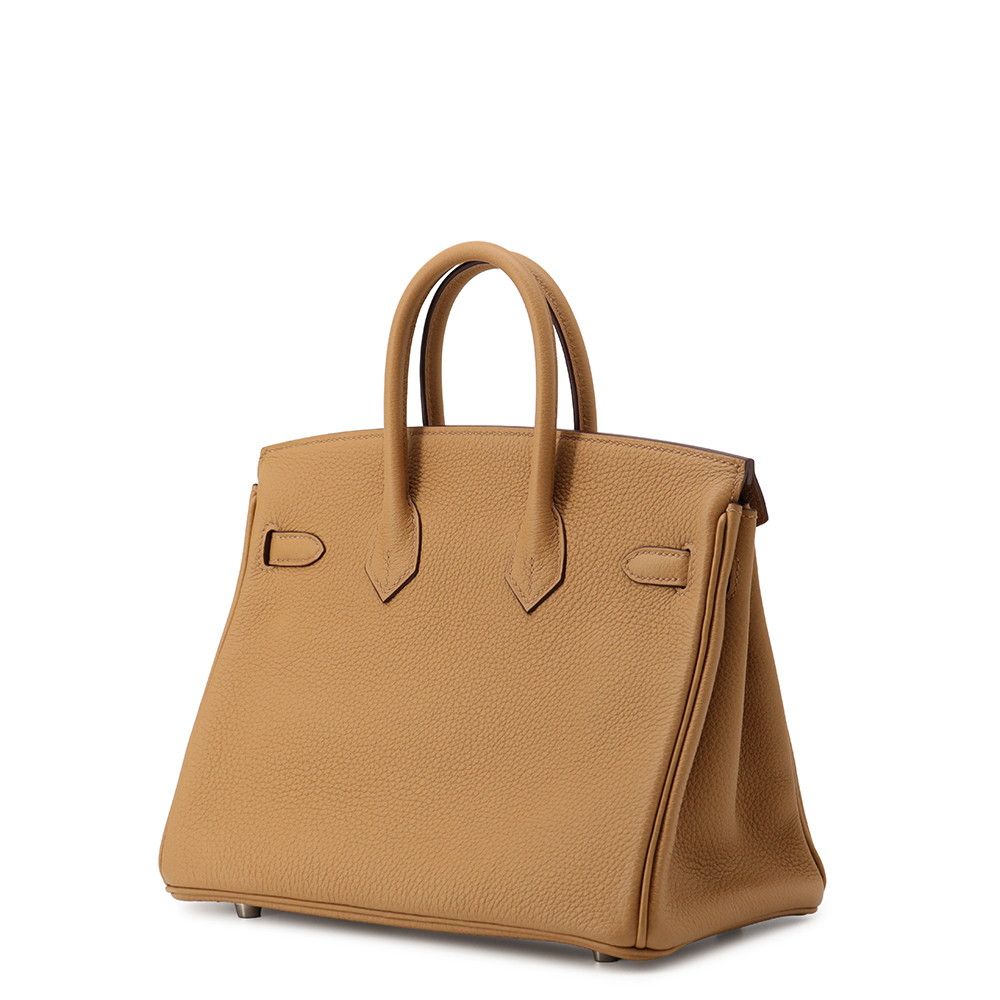 Hermes Birkin 25 Biscuit Silver Togo Handbag — view 2