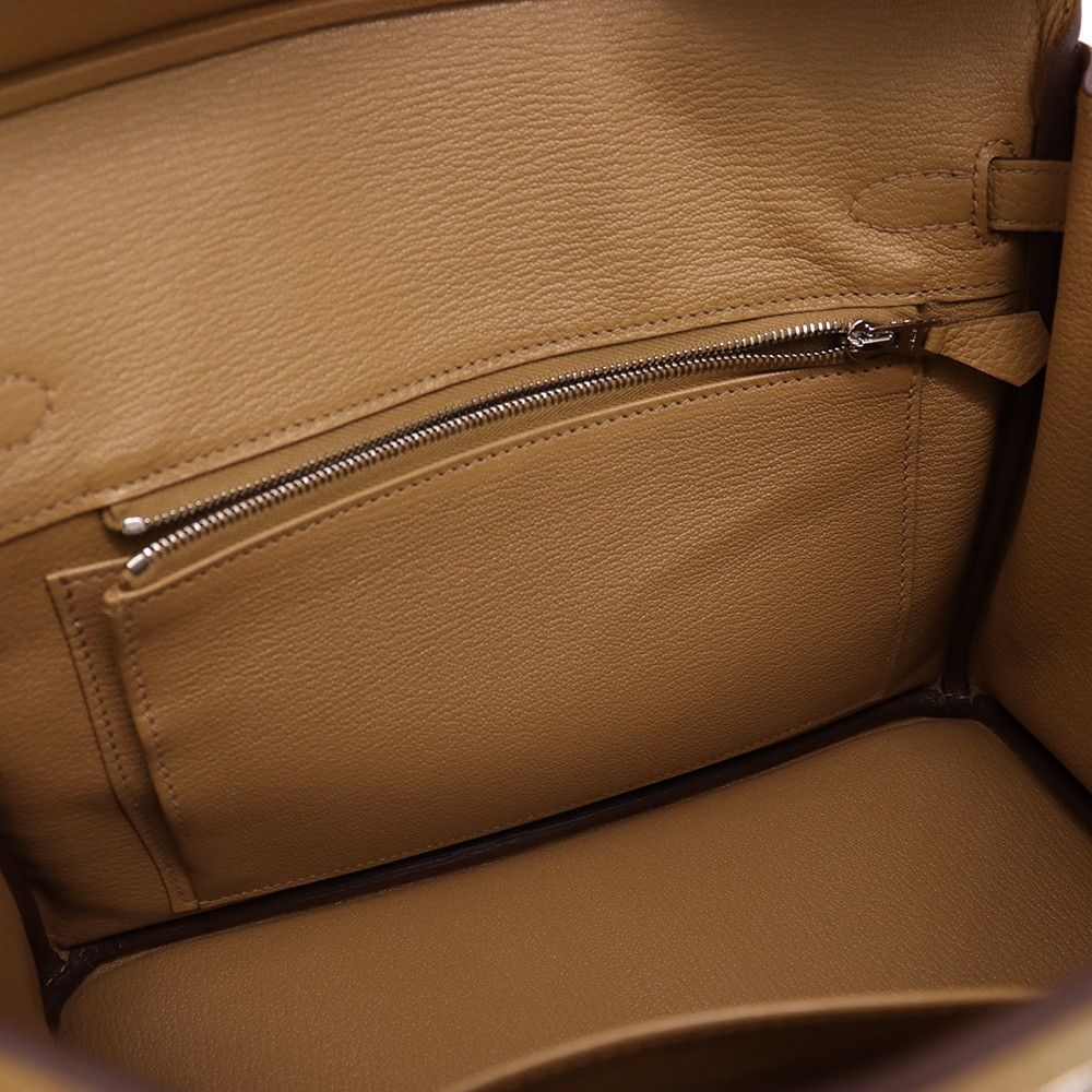 Hermes Birkin 25 Biscuit Silver Togo Handbag — view 7