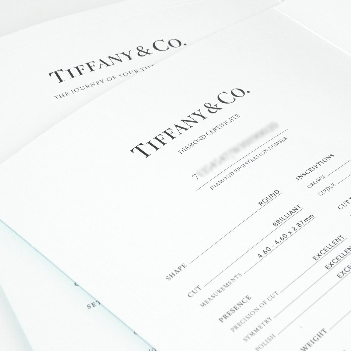 Tiffany & Co Engagement Ring Channel Set Diamond Band Platinum Half Eternity — view 5