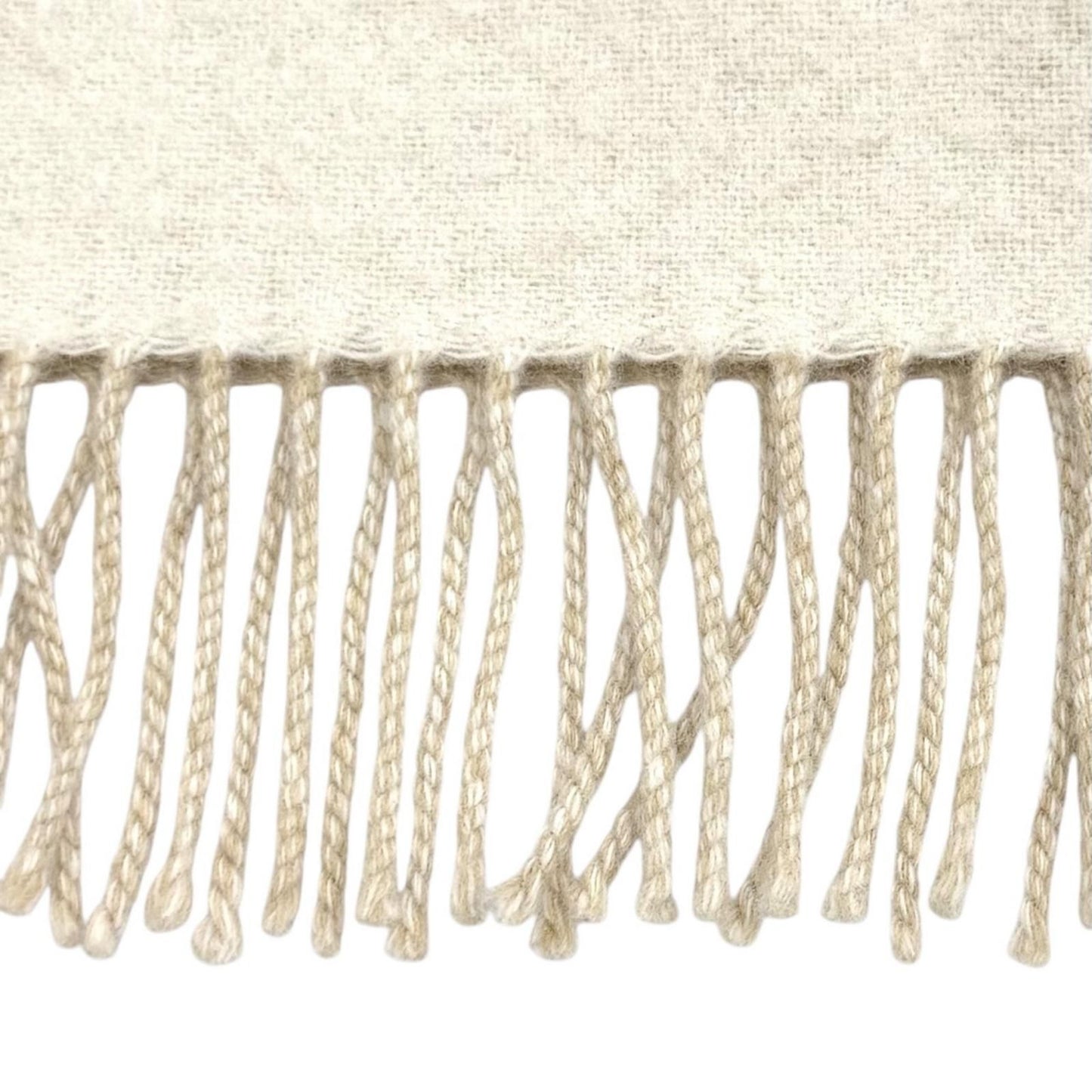 Loewe Bicolor Scarf Wool Cashmere Blend Ivory Sand Anagram Embroidered Fringe UK — view 4